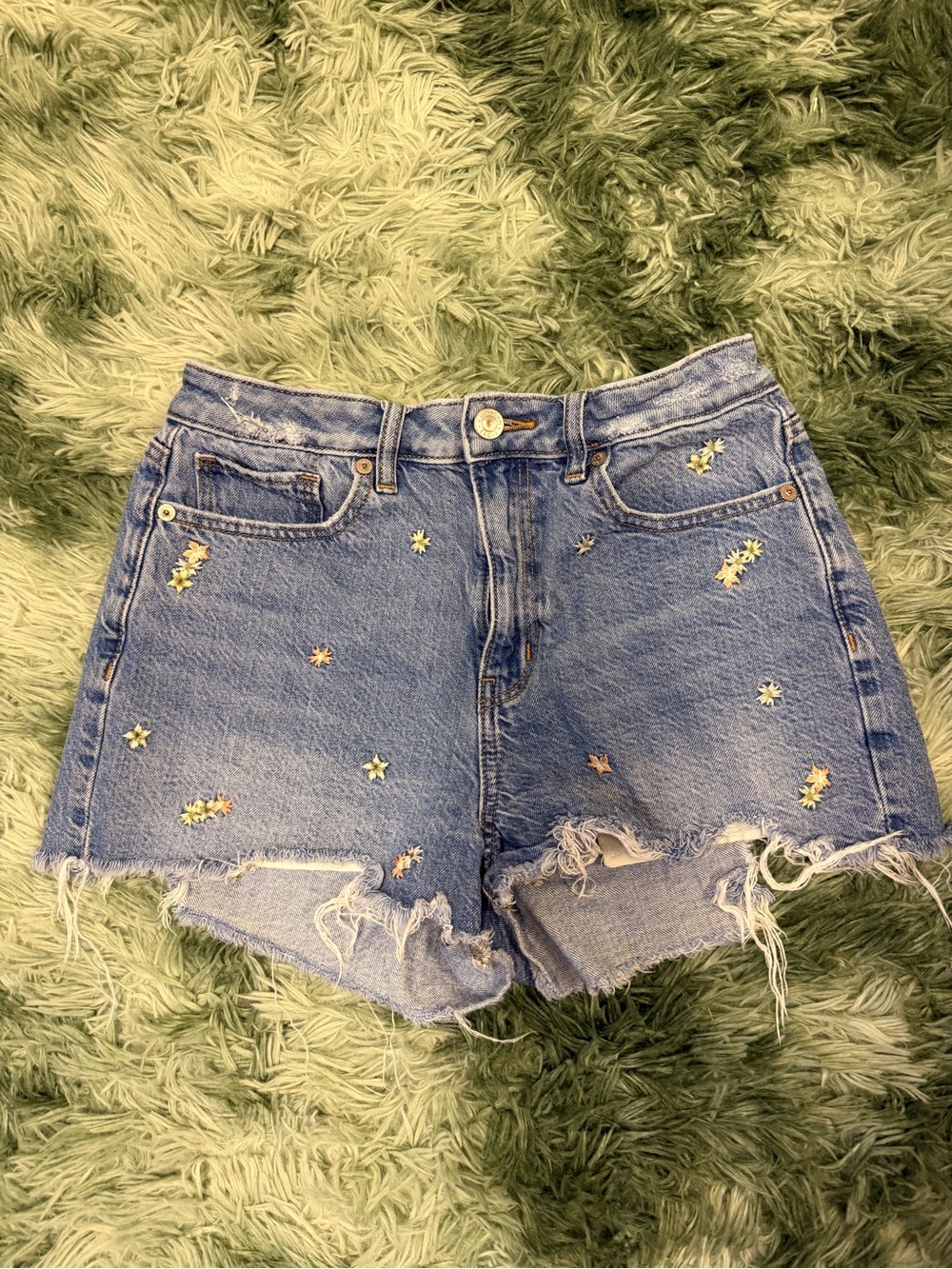 American Eagle Outfitters Light Blue Daisy Embroidered Denim Shorts